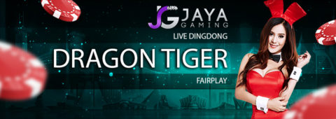 Dragon Tiger Fair